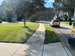 Before and After Residential Pressure Washing Services in Durham, NC (2)